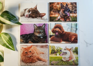 Rectangle 2.5x3.5 Photo Magnet