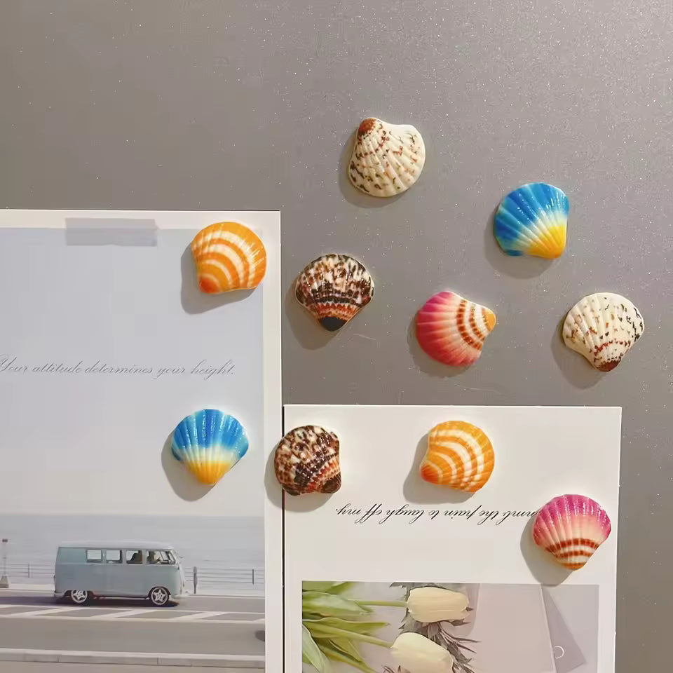 Sea Shells Mini Magnets