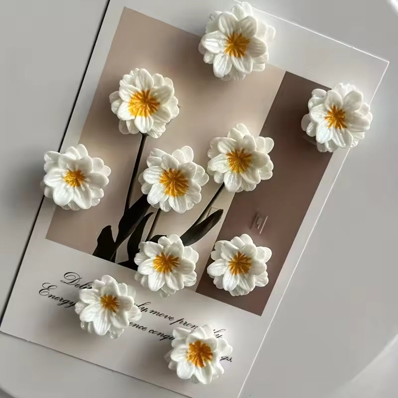 White Daisy Flowers Mini Magnets