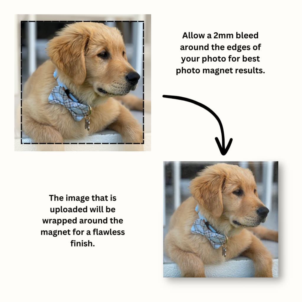 Square 2x2 Photo Magnet